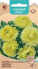 Астра Хризантемовидная Царица Желтая 0,1гр Поиск