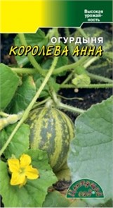 Огурдыня Королева Анна Цветущий сад