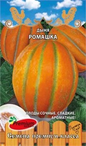 Дыня Ромашка 5шт Премиум