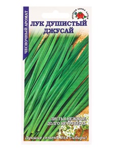 Лук душистый Джусай (Золотая сотка Алтая)