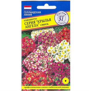 Схизантус Крылья ангела Престиж