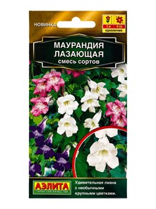 Маурандия лазающая смесь сортов 5шт Аэлита