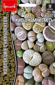Литопс Живые Камни смесь 4 шт Григорьев