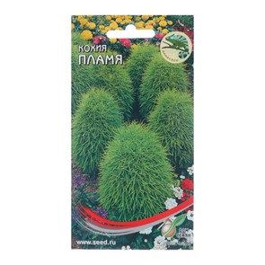 Кохия Пламя 70шт Дом семян