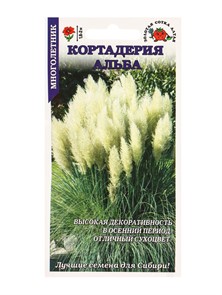 Кортадерия Альба (Золотая сотка Алтая)