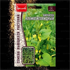 Кирказон Клематисовидный 3шт Григорьев