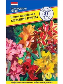 Канна индийская Большие цветы 3шт Престиж