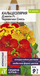 Кальцеолярия Дэинти Черевички смесь 3-5шт СА