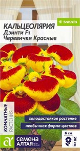 Кальцеолярия Дэинти Черевички красные 5шт (Сем Алтая)