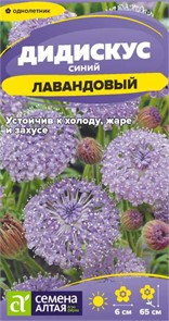 Дидискус лавандовый СемАлт