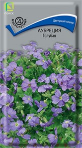 Аубреция Голубая Поиск