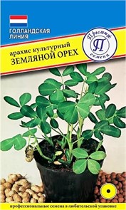 Арахис культурный(земляной орех) Престиж