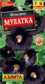 Шток-роза Мулатка 10шт Аэлита
