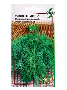 Укроп Оливер 650шт СС
