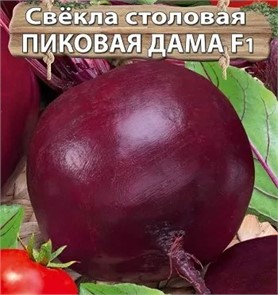 Свекла столовая Пиковая дама F1 1гр Семена Алтая