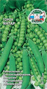 Горох Янтарь 8г Седек