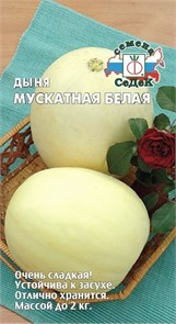 Дыня Мускатная белая Седек