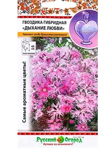 Гвоздика Дыхание любви гибридная 60шт НК