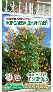 Ипомея лопастная Королева Джунглей, 0,3 гр (ЕС)