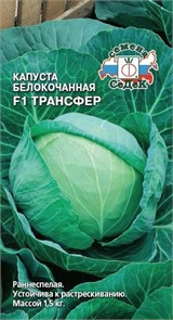 Капуста Трансфер F1 (Б/К) Седек