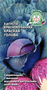 Капуста Красная голова (К/К) Седек