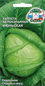 капуста Июньская (Б/К) Седек