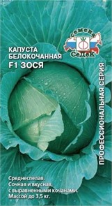 капуста Зося F1 (Б/К) Седек