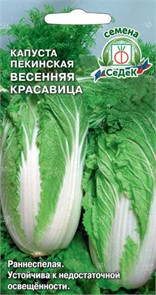 Капуста Весенняя Красавица (ПЕК) Седек