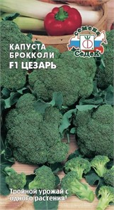 Капуста броколли Цезарь F1 0,3гр Седек