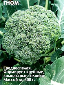 Капуста броколли Гном 0,5гр Седек