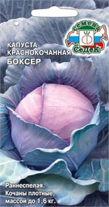 Капуста Боксёр (К/К) Седек