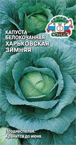 Капуста б/к Харьковская зимняя 0,5гр Седек