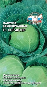 Капуста б/к Спринтер F1 0,5гр Седек