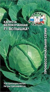 Капуста б/к Вспышка F1 0,3г Седек