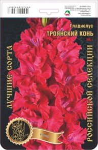 Гладиолус Троянский Конь 568,Фотин 2 р-р 7шт (Ф)