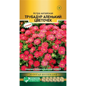 Астра Трубадур Аленький цветочек (Евро Б)