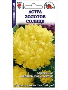 Астра Золотое солнце(Золотая сотка)