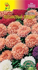 Астра Бордюр Персиковый (Цв сад)
