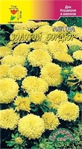 Астра Бордюр Золотой (Цв сад)