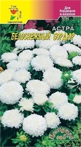 Астра Бордюр Белоснежный ЦветCад Ц