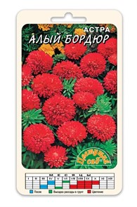 Астра Бордюр Алый ЦветСад Ц