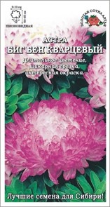Астра Биг Бен кварцевый (Золотая сотка)