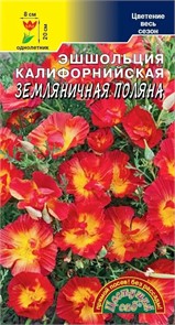 Эшшольция Земляничная поляна(Цв сад)