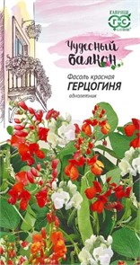 Фасоль Герцогиня красная Чуд.балк.(Гавриш) 5шт