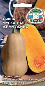 Тыква Жемчужина(мускатная) Седек