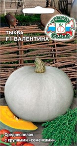 Тыква Валентина F1 Седек