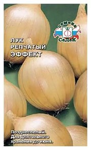 Лук Эффект (репч.) Седек
