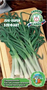 Лук Элефант МС (ПОР) Седек
