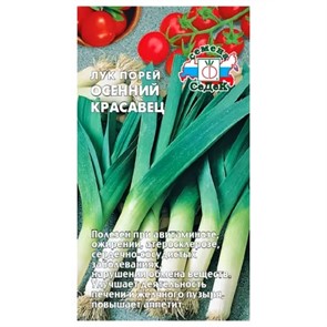 Лук Осенний Красавец (ПОР) Седек