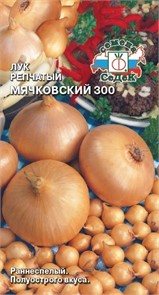 Лук Мячковский 300 (репч.) Седек